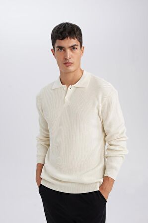 DeFacto Standart Fit Polo Yaka Düğmeli Triko Kazak D1959AX24AUER139
