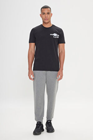 Standart Fit Normal Kesim %100 Pamuk Bisiklet Yaka Tişört