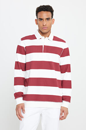Standart Fit Normal Kesim Polo Yaka Pamuklu Sweatshirt
