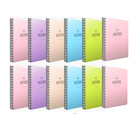 Gıpta Pastoral A4 96 Yaprak Plastik Kapak Spiralli Kareli Defter 12 Adet