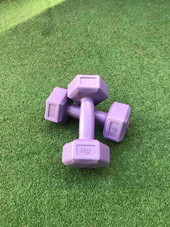 Leyayon 1 Kg X 2 Adet Dambıl Vinyl Kaplı Dumbell Ağırlık - Mor Renk