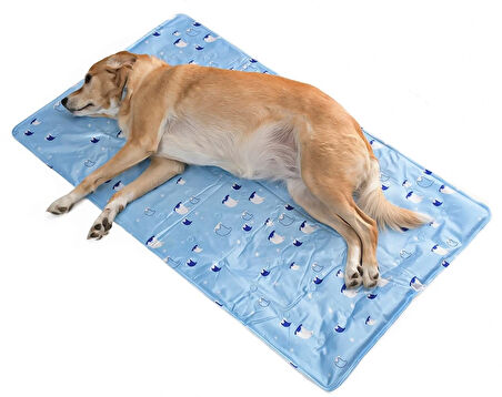 Köpek Serinletici - Soğutucu Yatak 2XLarge 70x120 cm