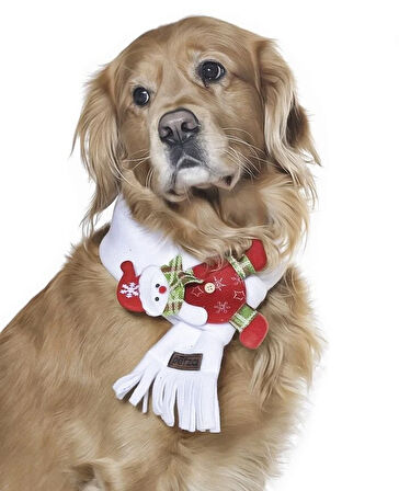 Polar Köpek Atkısı - Putoma