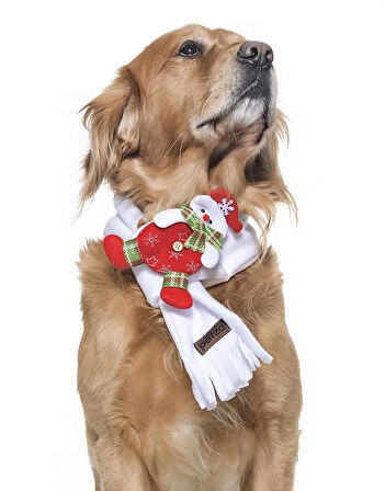 Polar Köpek Atkısı - Putoma