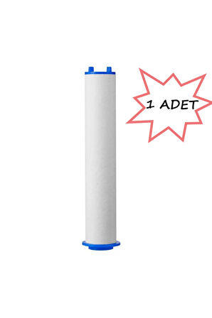 1 ADET YEDEK DUŞ BAŞLIĞI KİREÇ PAS TORTU ENGELLEYİCİ TUTUCU FİLTRE