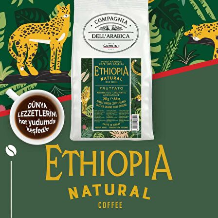 Caffe Corsini Etiyopya %100 Arabica Çekirdek Kahve 250GR