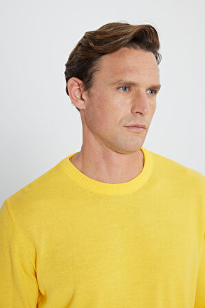 Erkek Sarı Standart Fit Normal Kesim Bisiklet Yaka Triko