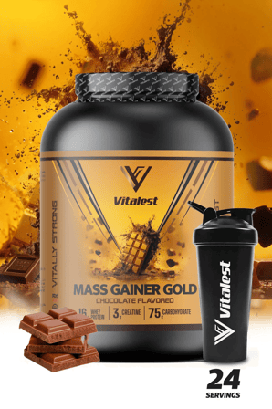 Mass Gainer Çikolata Aromalı 2400g. Karbonhidrat Tozu 24 Servis