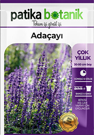 50 Adet Adaçayı (Salvia Officinalis) Çiçek Tohumu 