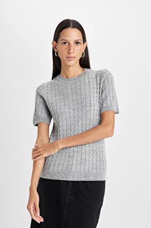 DeFacto Regular Fit Bisiklet Yaka Saç Örgülü Kısa Kollu Triko Kazak D3306AX24WNGR66