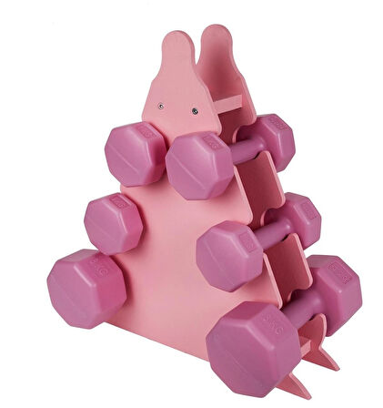 PSSPOR 3 Set Pembe Renk Dambıl Seti + Stand ( 2 Adet 1KG - 2 Adet 2KG - 2 Adet 3KG + Stand )