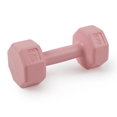 PSSPOR 2 Adet 1KG Pembe Renk Dambıl Seti ( 2 Adet 1KG Gönderim Yapılmaktadır)