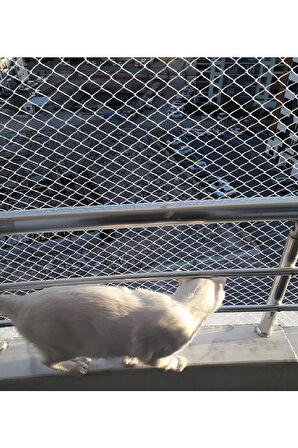 Kedi Filesi 2,50 X 12 Metre Kedi Koruma Filesi Kuş Filesi Balkon Filesi 1 Mm Kedi Güvenlik Filesi