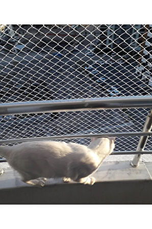 Kedi Filesi 2,50 X 5 Metre Kedi Koruma Filesi Kuş Filesi Balkon Filesi 1 Mm Kedi Güvenlik Filesi