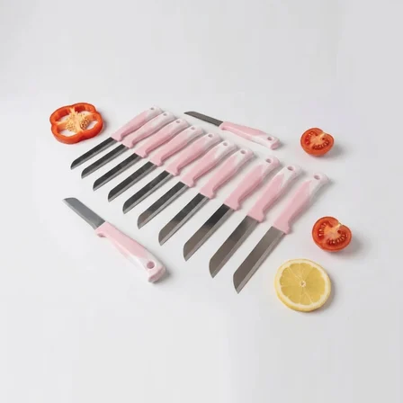 Solingen Meyve Bıçağı 12'li Set