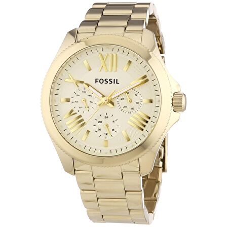 Fossil AM4510 Kadın Kol Saati