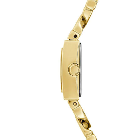 Guess GUGW0603L2 Çelik Kadın Kol Saati