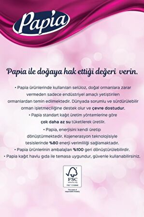 Papia Kağıt Havlu 3x16 Toplam 48 Rulo
