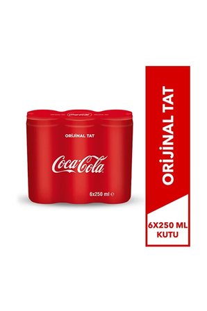 COCA COLA 6X250 Ml Kutu
