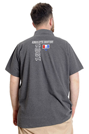 Mode XL Büyük Beden Erkek T-shirt Polo ABSOLUTE DESTINY 23335 Antramelanj