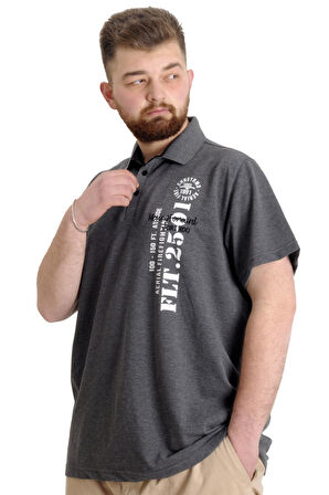 Mode XL Büyük Beden Erkek T-shirt Polo Parçalı FLT 23329 Antramelanj