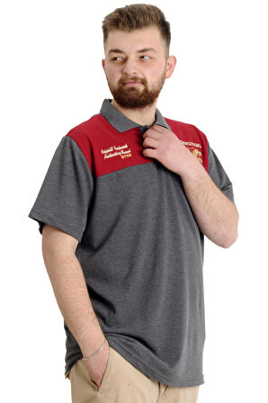 Mode XL Büyük Beden Erkek T-shirt Polo CHNGYRMD 23328 Antramelanj