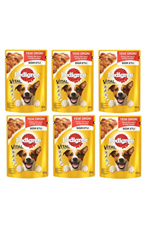 Pedigree Pouch Yetişkin Sığır Etli Köpek Maması 100 Gr X 6 Adet