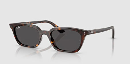 RAY-BAN UNİSEX GÖZLÜK RB4456-135987