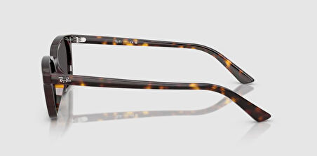 RAY-BAN UNİSEX GÖZLÜK RB4456-135987