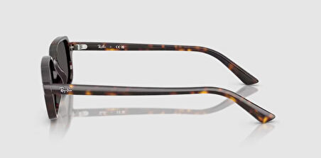 RAY-BAN UNİSEX GÖZLÜK RB4455-135987