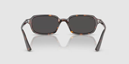 RAY-BAN UNİSEX GÖZLÜK RB4455-135987