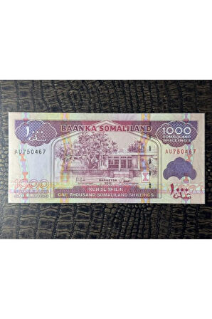 Somaliland 1000 Shillings 2011 yılı ÇİL (10/10)- ÇİL ( UNC)