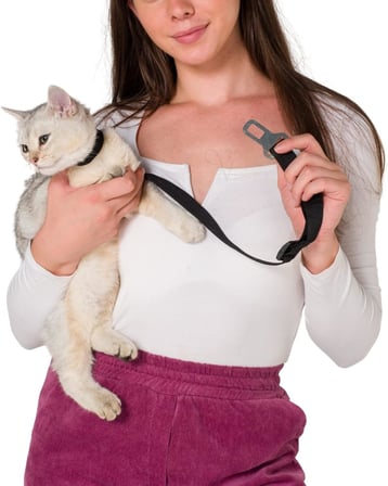 Kedi Ve Köpek Araç Emniyet Kemeri Tasması Yavru Evcil Hayvan Tasmaları Araba Kemer Seyahat Tasma Seyahat Tasma Aksesuarı