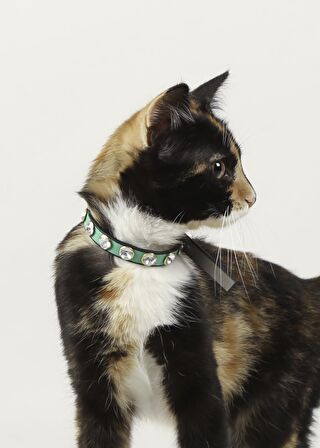 YEŞİL TAMAMEN SAVAROSKİ TAŞLI RİVETLİ 1 CM METAL TOKALI KEDİ TASMASI