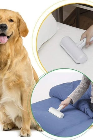 Kedi Köpek Taşıma Kabı Ve Evcil Hayvan Tüy Temizleyici Kıl Toz Toplayıcı Hazneli Taşıma Kabı ve Tüy Rulosu