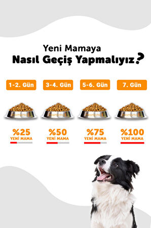 LaVital Somonlu Orta Irk Yetişkin Kuru Köpek Maması 3 kg