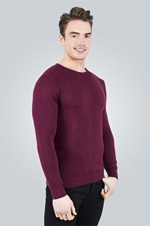 Tudors Slim Fit Dar Kesim Bisiklet Yaka Petek Dese