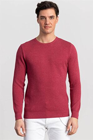 Tudors Slim Fit Dar Kesim Bisiklet Yaka Petek Dese