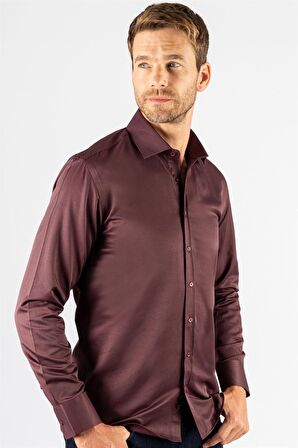 Tudors Modern Slim Fit Düz Saten Erkek Gömlek