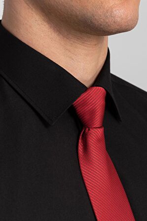 Tudors Modern Slim Fit Poplin Pamuk Efekt Erkek Gömlek