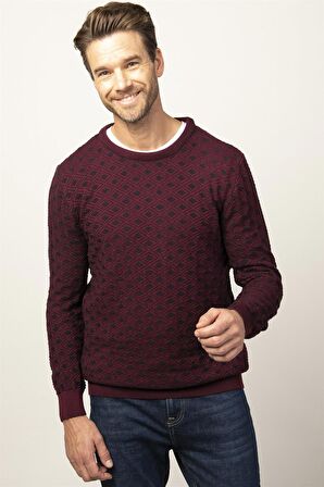 Tudors Slim Fit Dar Kesim Bisiklet Yaka Desenli Erkek Kazak