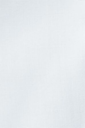 Tudors Büyük Beden Düz Erkek Gömlek