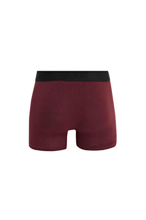 Erkek 2'li Pamuk Likralı Esnek Kumaş Boxer