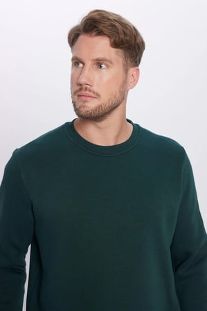 Unisex Relax Fit Rahat Kesim Pamuklu 3 İplik İçi Polarlı Basic Yeşil Bisiklet Yaka Sweatshirt