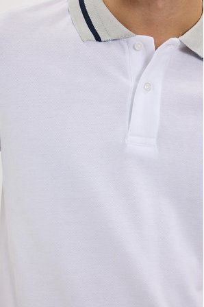 Erkek Slim Fit Dar Kesim %100 Pamuk Düz Pike Yaka ve Kol Detaylı Beyaz Polo Yaka Tişört