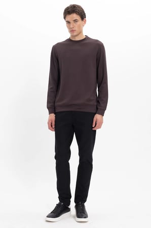 Erkek Standart Fit Normal Kesim Uzun Kollu Ekstra Soft Modal Kumaş Bisiklet Yaka Kahverengi Sweatshirt