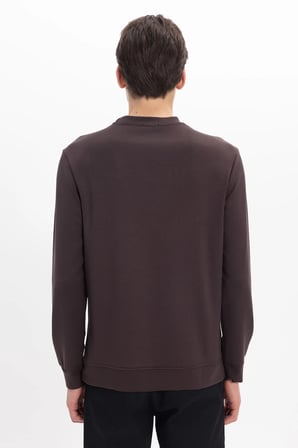 Erkek Standart Fit Normal Kesim Uzun Kollu Ekstra Soft Modal Kumaş Bisiklet Yaka Kahverengi Sweatshirt