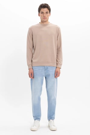 Erkek Standart Fit Normal Kesim Uzun Kollu Ekstra Soft Modal Kumaş Bisiklet Yaka Koyu Vizon Sweatshirt