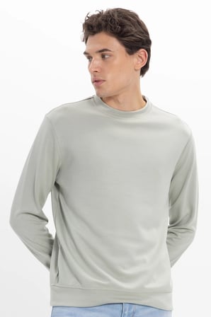 Erkek Standart Fit Normal Kesim Uzun Kollu Ekstra Soft Modal Kumaş Bisiklet Yaka Yeşil Sweatshirt