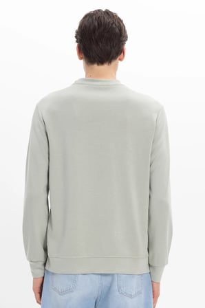 Erkek Standart Fit Normal Kesim Uzun Kollu Ekstra Soft Modal Kumaş Bisiklet Yaka Yeşil Sweatshirt